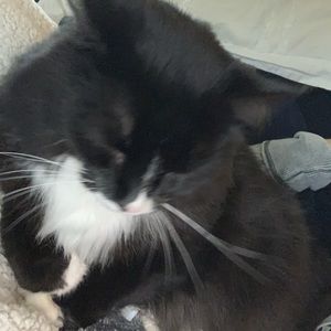 Meet your Posher, Aimee